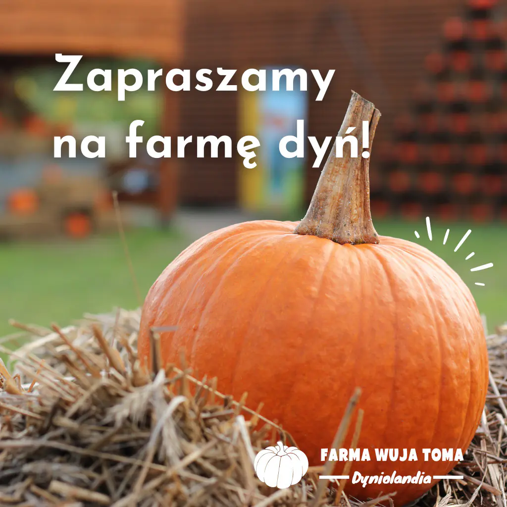 rajkrasnali.edu.pl